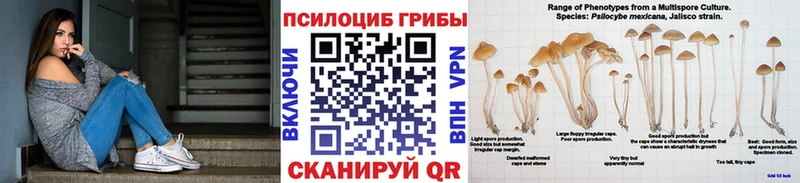 MEGA ONION  Рудня  Галлюциногенные грибы Cubensis 